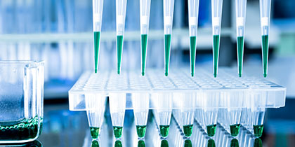  High Throughput Screening