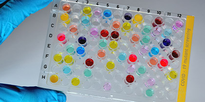 High Content Screening