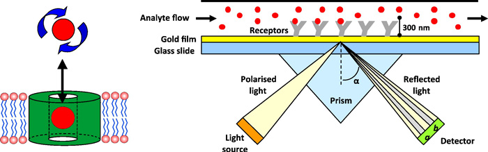 The basic  instrument set up for an SPR biosensor.