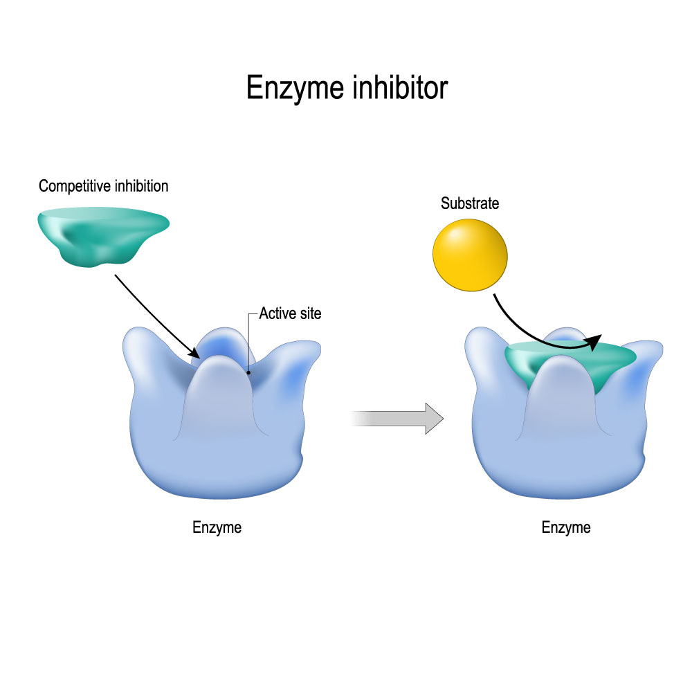 SPR biosensor can be applied to  monitor the binding events of enzyme inhibitor and enzyme.