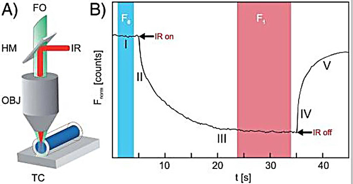 The application of higher-throughput plate-based methods in thermal shift  increases assay throughput.