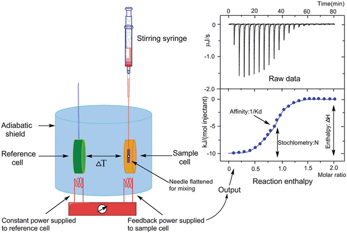 Basic principle of isothermal titration calorimetry.
