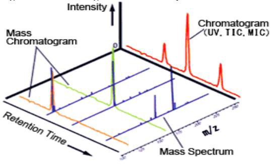 Chromatogram and Mass Spectrum.