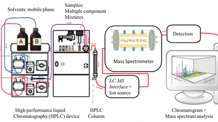 Fig.1 The work flow of HPLC-MS. (Sarvani, V.; et al. 2013)