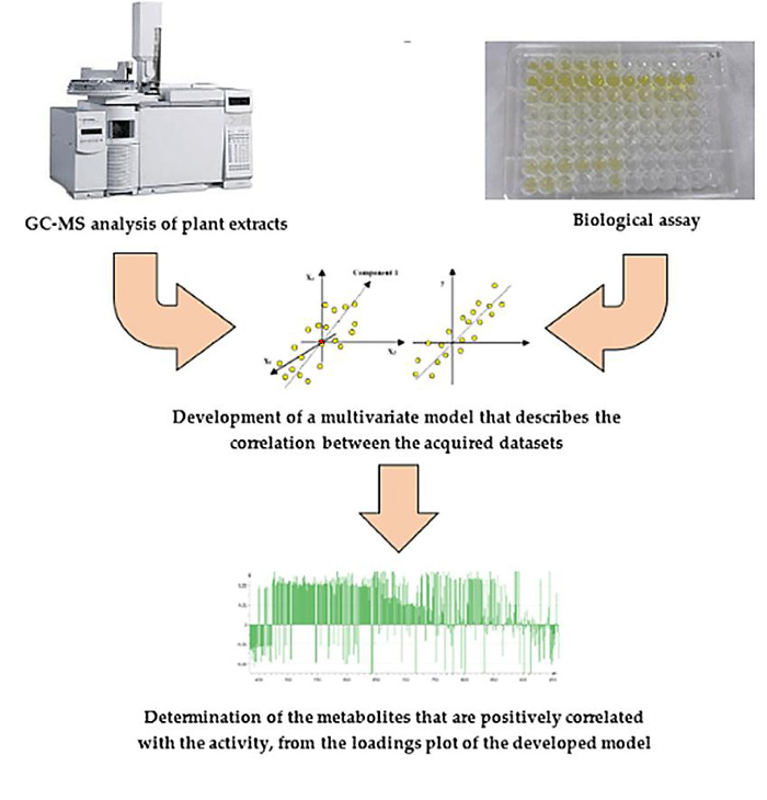 Fig.1 Typical procedure of the gas  chromatography–mass spectrometry for characteriziation of the active plant  metabolites. (Nokhala, A.; <em>et al</em>. 2020)