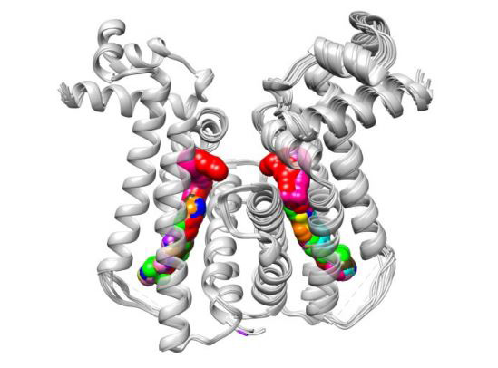 The  Picture of Biophysical assays.