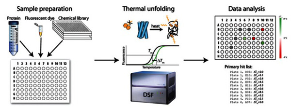 Fig.1 Compound libraries screening.  (Martinez, A.; <em>et al</em>.  2012)