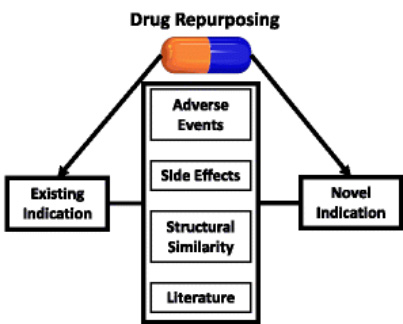 Fig.1 Systematic of drug  repurposing process. (Ferguson, L. B.; <em>et al</em>. 2018)