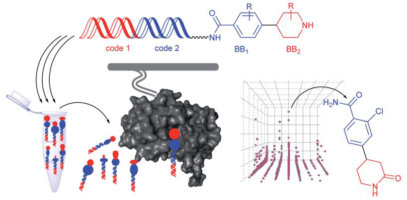 Fig.1 Schematic representation of virtual screening approaches. (Polgar, T.; Keseru, G. M. 2011)