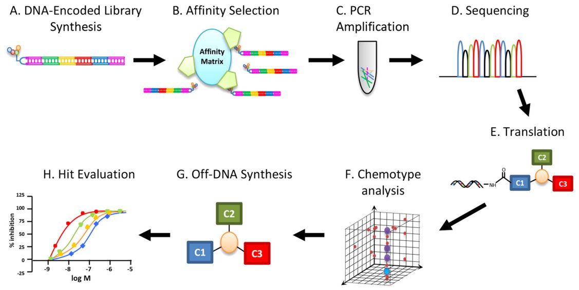 Fig.1 Schematic representation of virtual screening approaches. (Polgar, T.; Keseru, G. M. 2011)