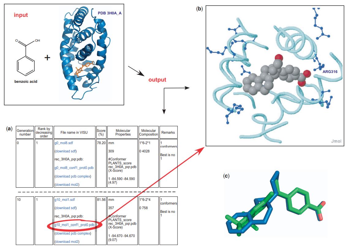 Fig.1 A de novo drug design module. (Dominique, D. 2010)