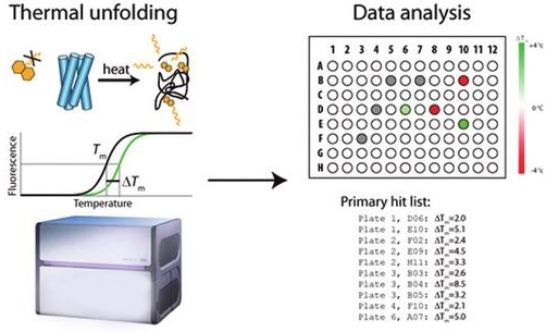 Fig.1 The protocol for high-throughput screening through DSC. (Jarl, U. O.; et al. 2012)