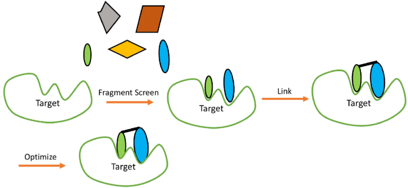 Fig.1 Fragment based drug discovery. (Emwas, A. H.; et al. 2020)