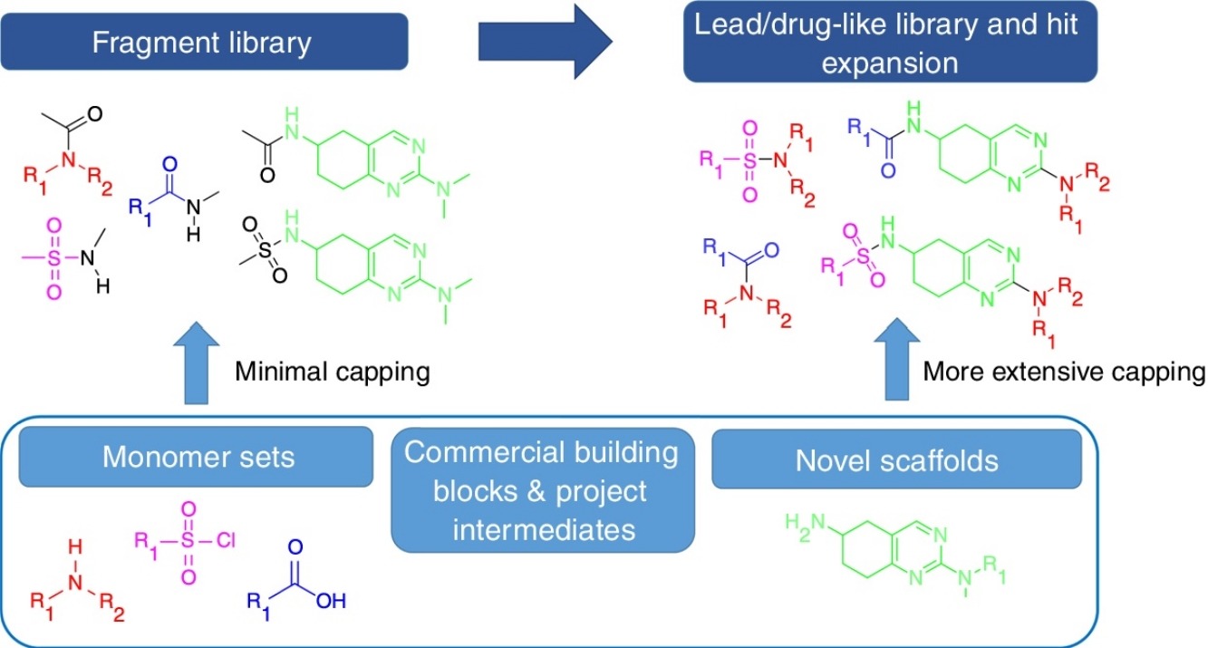 Fig.1 Strategies for compiling a fragment library. (Ray, P. C.; et al. 2017)