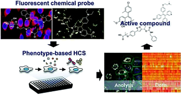 Fig.1 The diagram of High Content Screening workflow. (Jo, A.; et al. 2016)