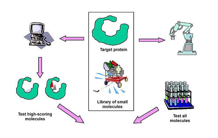 Fig.1 Discover new leads for drug discovery using high throughput screening