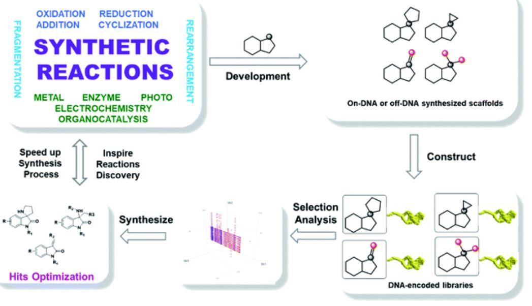 Fig.1 The workflow of DNA-encoded library. (Xuan, W.; et al. 2021)