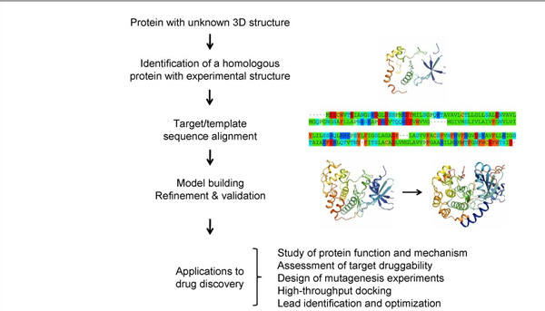 Fig.1 Outline of the homology modeling process and its applications in drug discovery. (Cavasotto, C. N.; Phatak, S. S. 2009)