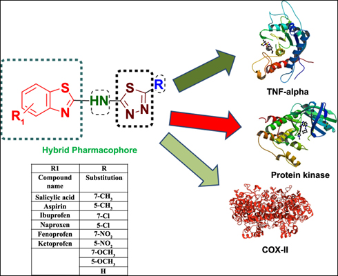 Fig.1 A picture of hybrid pharmacophore-based virtual screening method. (Shah, A.P.; Patel, C. N. 2020)