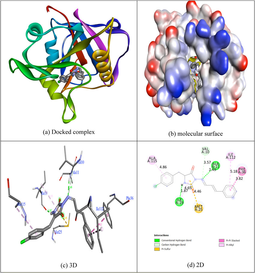 Fig.1 Molecular docking interaction of a compound within the binding site of the target protein. (Da, A.; et al. 2020)