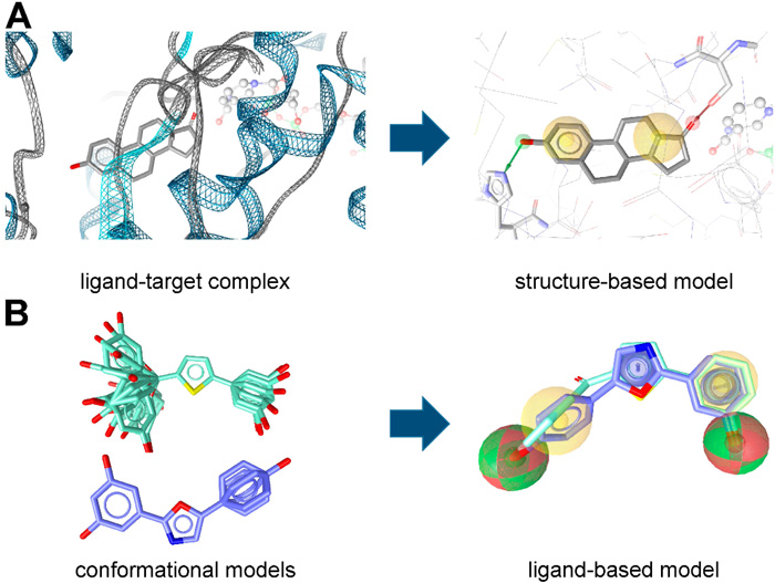 Fig.1 (A) Structure- and (B) ligand-based pharmacophore model. (Teresa, K.; et al. 2015)