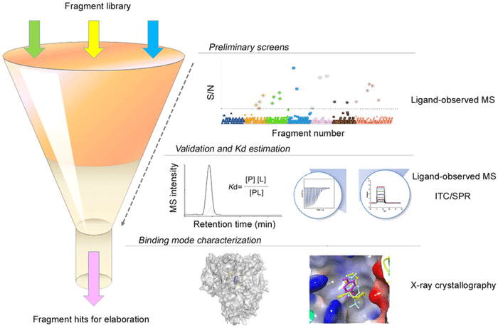 Fig.1 A fragment screening process incorporating different biophysical assays for efficient fragment hit identification. (Chen, X.; et al. 2015)