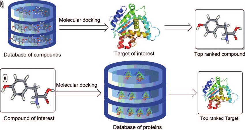 Fig.1 Two main approaches employed in structure-based virtual screening. (Badria, F. A.; Elgazar, A. A. 2020)