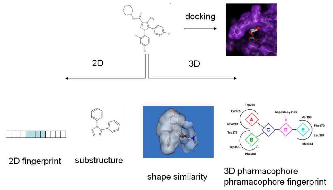 Fig.1 Schematic representation of virtual screening approaches. (Polgar, T.; Keseru, G. M. 2011)